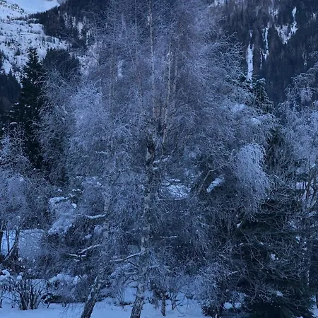 샬레 Chalet De L'aiguille 샤모니