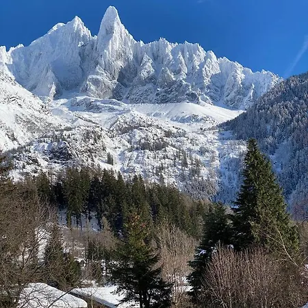 Chalet De L'aiguille 샬레 *