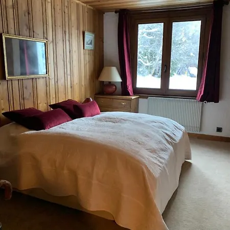 Chalet De L'aiguille 샬레 샤모니